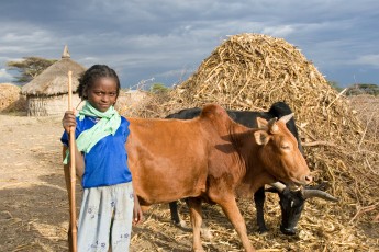 Watching the Family Cows in Ethiopia