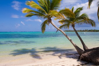 Beaches of Bavaro