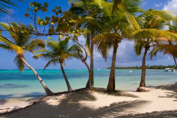 Beaches of Bavaro