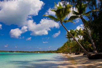 Bavaro Beach in the Dominican Republic