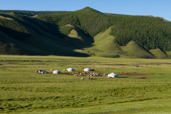 Steppes of Mogolia