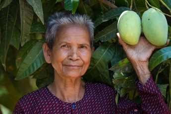 Woman and Mangos in Cambodia