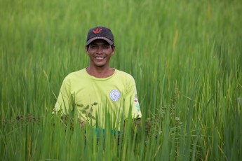 Man in Rice Field in Cambodia