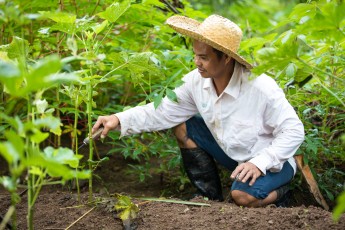 Gardening in the Philippines
