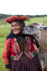 Llama Kiss in Peru