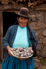 Growing Potatoes in Peru