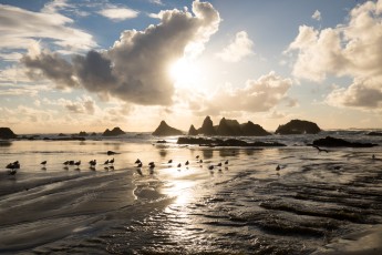 Beach in Oregon