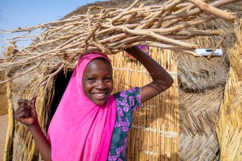 Collecting Firewood in Niger