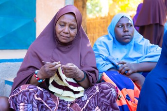 Skills Training in Niger