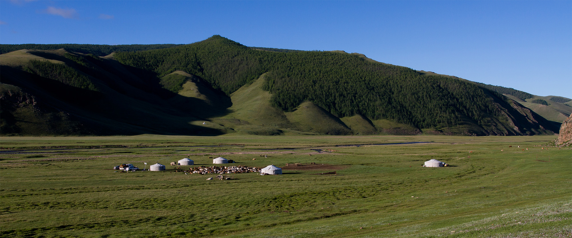 Mongolia Steeps